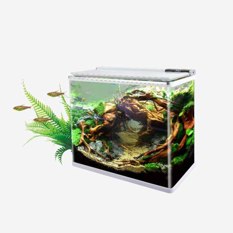 Aquarium